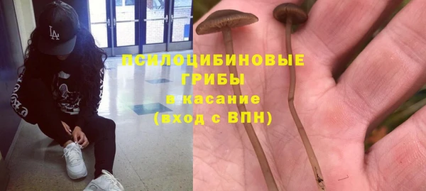 мдпв Нея