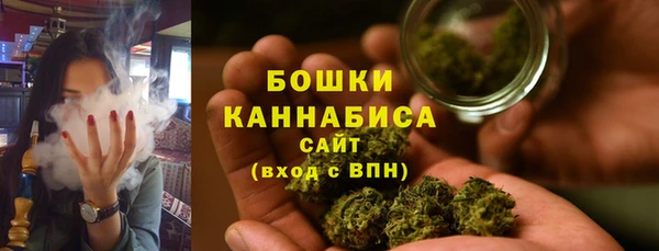 прущие грибы Баксан