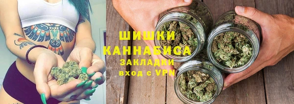 прущие грибы Баксан