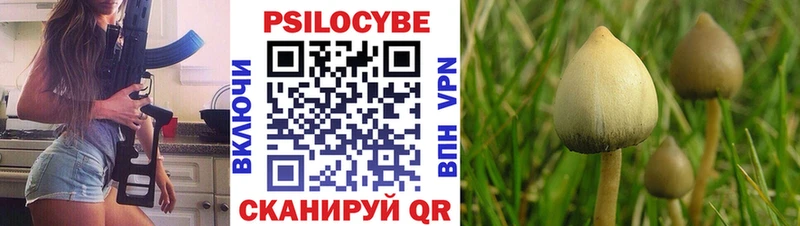 Псилоцибиновые грибы ЛСД  даркнет какой сайт  Вязники  KRAKEN как войти 